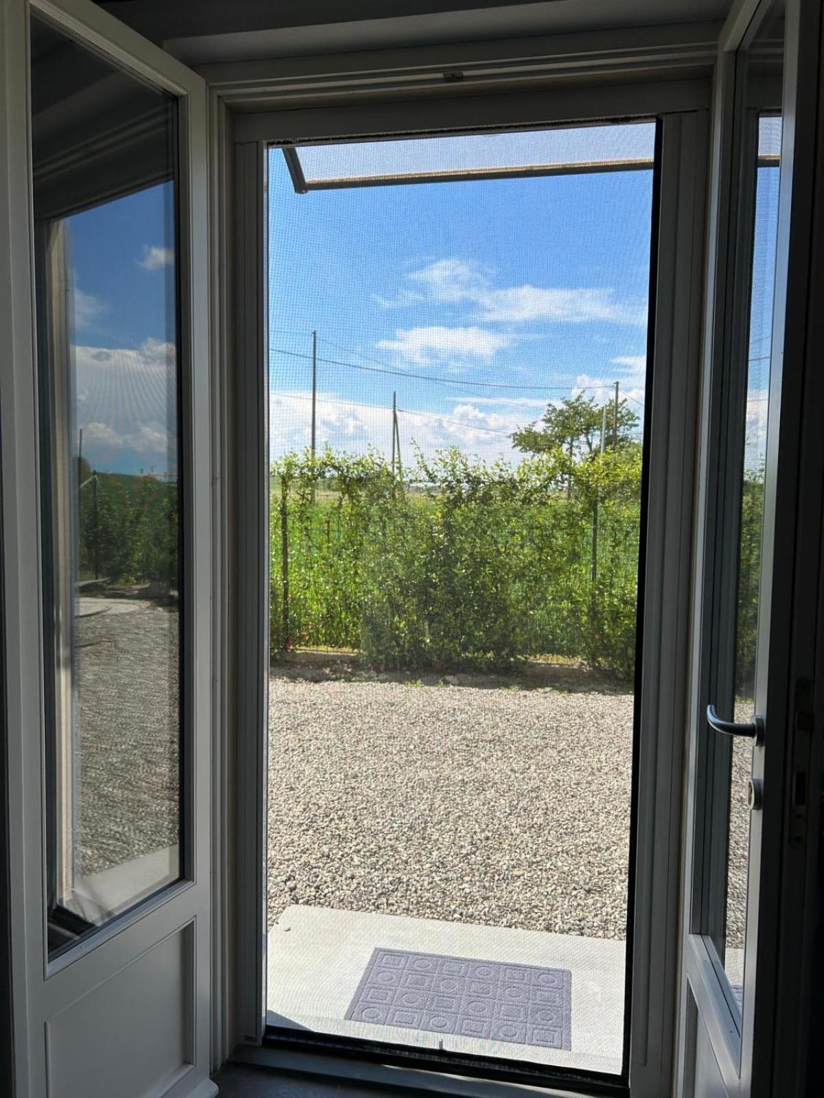 B&B Il Gelsomino Fontanelle di Roccabianca Dış mekan fotoğraf