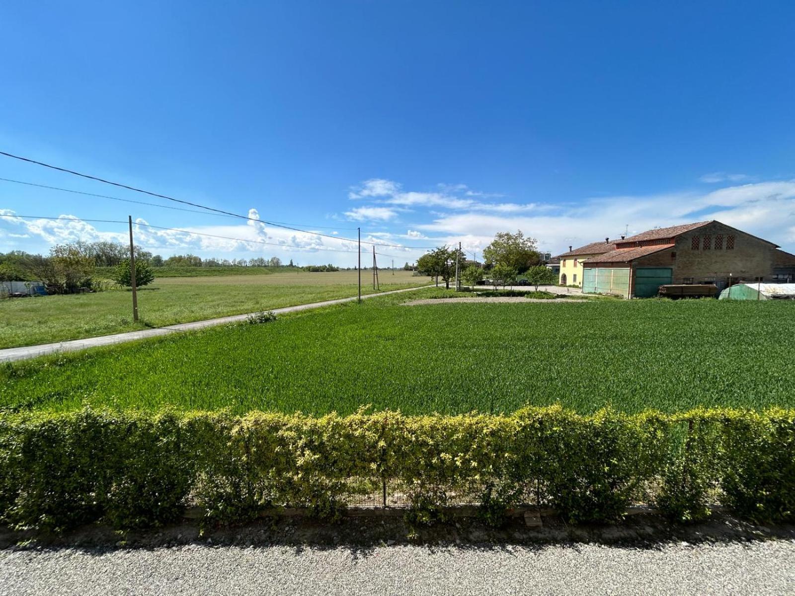 B&B Il Gelsomino Fontanelle di Roccabianca Dış mekan fotoğraf